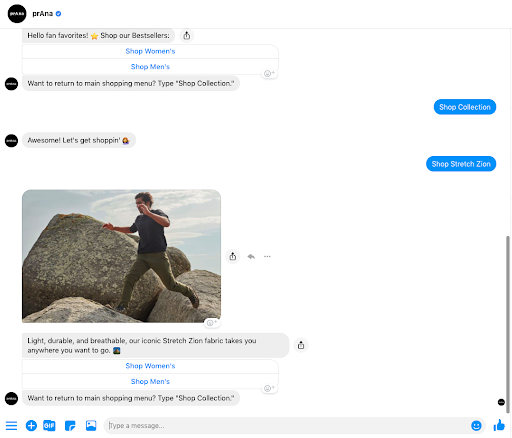 prana chatbot